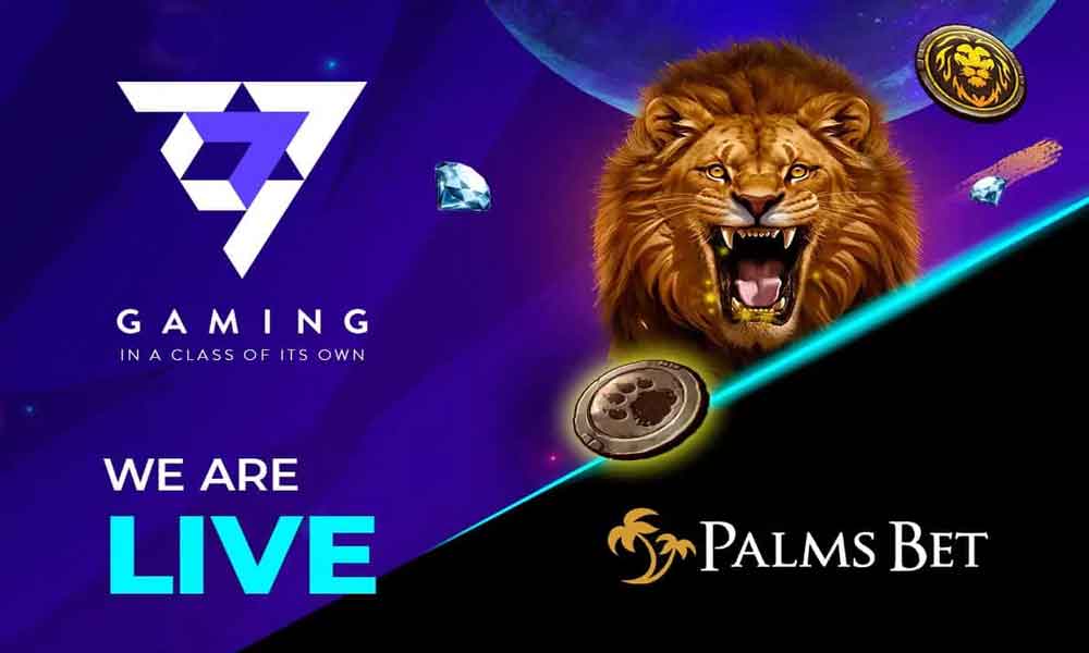 7777 Gaming Partners with Palms Bet to Launch in Kenya