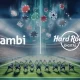 Kambi Group Partners with Hard Rock Digital