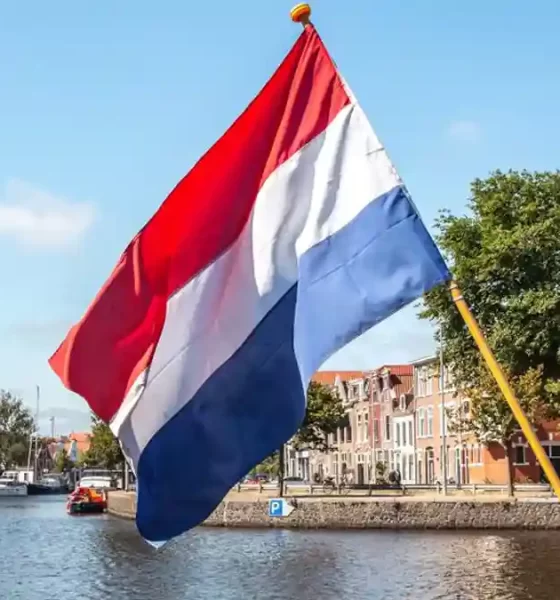 Dutch Trade Bodies Launch Portal to Tackle Illegal Gambling